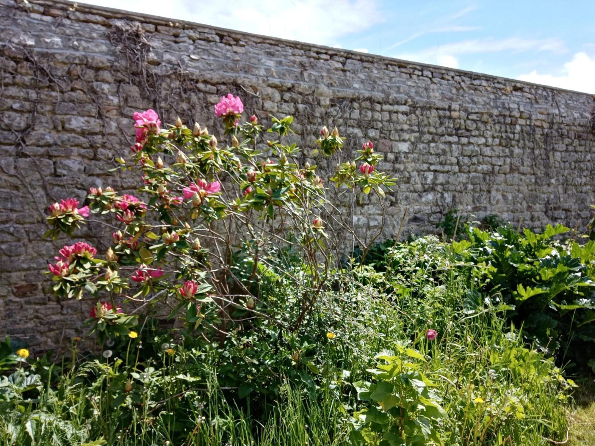 Rose Garden Bayeux Bed and Breakfast Exteriör bild