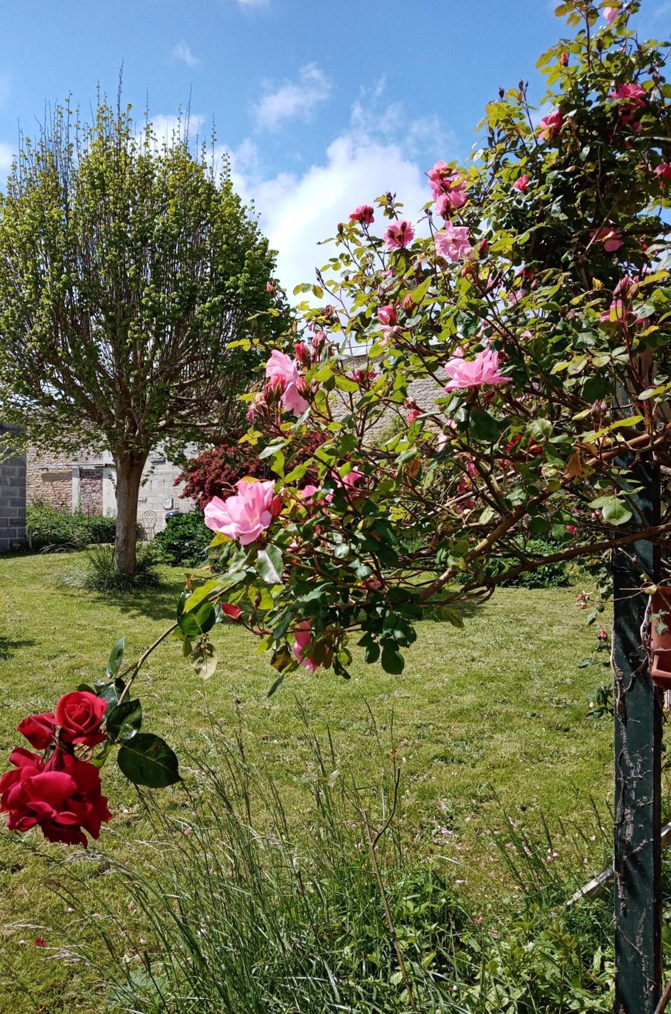 Rose Garden Bayeux Bed and Breakfast Exteriör bild
