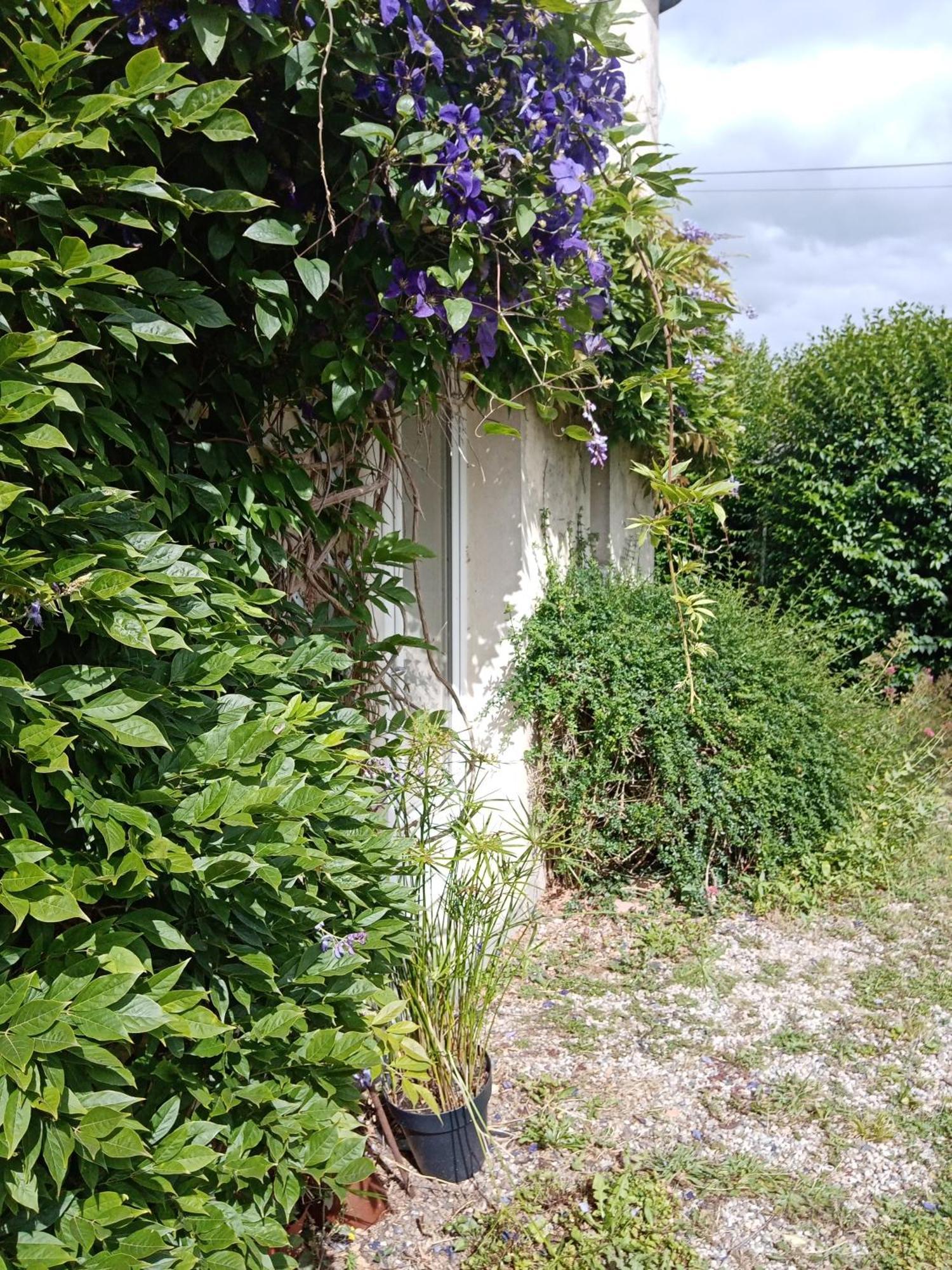 Rose Garden Bayeux Bed and Breakfast Exteriör bild